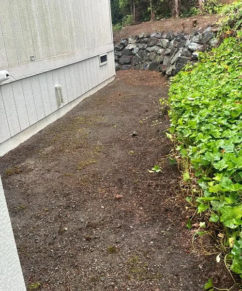 Landscaping Maintenance in Ballard 